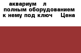 аквариум 50л AQVAplus c полным оборудованием к нему(под ключ) › Цена ­ 3 500 - Ленинградская обл., Санкт-Петербург г. Животные и растения » Аквариумистика   . Ленинградская обл.